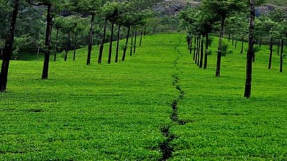 முறையான பயிர் தேர்வு மூலம் ஒரு ஏக்கரில் ரூ.5 லட்சம் லாபம் பெறலாம்…