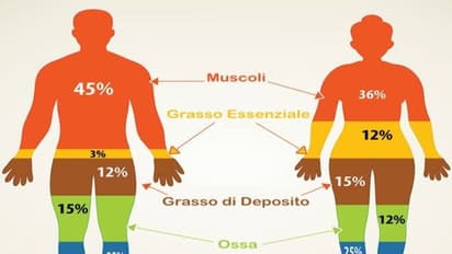 உடல்நலனுக்கு அத்தியாவசியமான சில முக்கிய அமிலங்கள் மற்றும் அவற்றின் பயன்கள்...