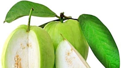 கொய்யாப் பழம் சாப்பிடுவதால் இவ்வளவு சத்துகள் நமக்கு கிடைக்கும்...