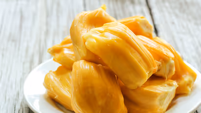 ಹಲಸಿನ ಹಬ್ಬಕ್ಕೆ ಬಂದ್ರು 10 ಸಾವಿರಕ್ಕೂ ಹೆಚ್ಚು ಜನ