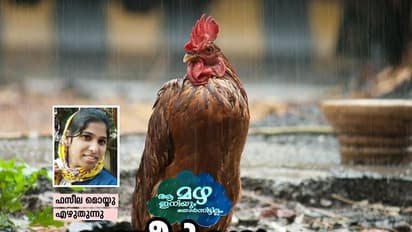 ആ മഴ ഉമ്മയുടെ കണ്ണീരായിരുന്നു!