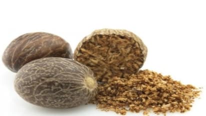 உங்களுக்குத் தெரியுமா? சர்க்கரை வியாதியைப் போக்கும் சக்தி நாவல் கொட்டைக்கு உண்டு...