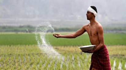 பூச்சி கொல்லிகளை பயன்படுத்துவோர் கவனமாக இருக்க வேண்டிய விஷயங்கள்...