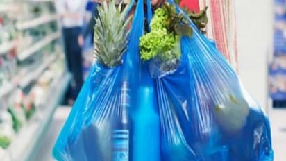सिंगल यूज पॉलिथीन पर पूरी तरह से बैन, जानिए पकड़े जाने पर कितना देना होगा जुर्माना