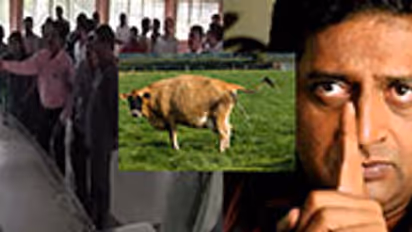 Cow urine or the gomutra can clean anyone and anything, but who really needs the cleansing?