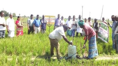 நுண்ணுயிரிகள் மூலமாகவும் பயிர் நோய்களை கட்டுப்படுத்தலாம்…