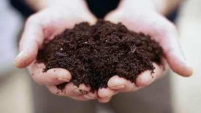 அதிக அளவு மகசூலை அள்ளனுமா? அப்போ மண்புழு உரத்தை நிலத்தில் போடுங்க…