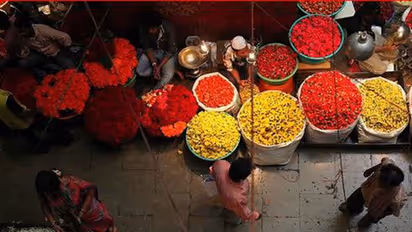 Kanakambara flower price shoots up to Rs 2000 per kg