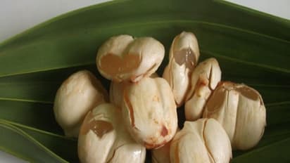 பனை மரத்தில் இருந்து கிடைக்கும் நுங்கின் மருத்துவ குணங்கள் இதோ…