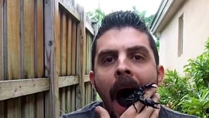 വായിൽ നിന്ന് ജീവനുള്ള തേൾ ഇറങ്ങിവരുന്നു- വീഡിയോ