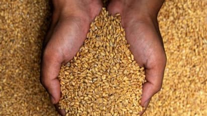 "2018 வரை கோதுமை, அரிசி மானிய விலையில் வழங்கப்படும்" - மத்திய அரசு அடுத்த அறிவிப்பு!
