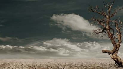 Some cheer to farmers: Monsoon to be normal, Met Department forecasts