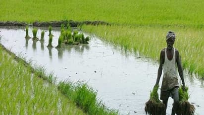 ಹಾಸನ: ತುಂಬಿ ಹರಿದ ಹೇಮೆ, ಕೃಷಿಕರಲ್ಲಿ ಉತ್ಸಾಹ