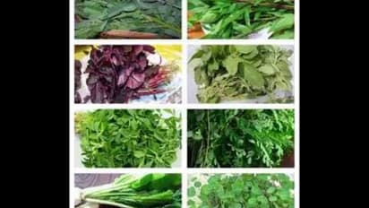 உங்களுக்குத் தெரியுமா? மூட்டுவலி தொல்லையில் இருந்து விடுபட நொச்சி இலைகள் தான் சிறந்த மருந்து...