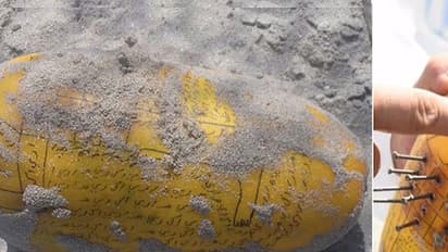 ‘കൂടോത്ര വെള്ളരി’ ഷാര്ജ പൊലീസിനെ കുഴക്കി