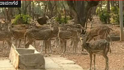 ಪ್ರಾಣಿ ಸಂಗ್ರಹಾಲಯದ ಮೂಕಪ್ರಾಣಿಗಳಿಗೆ ವಿಷಪ್ರಾಶನ : ಕಣ್ಮುಚ್ಚಿ ಕುಳಿತಿದೆ ಅರಣ್ಯ ಇಲಾಖೆ