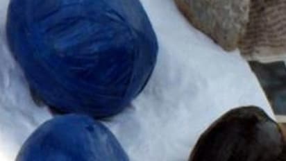 திருப்போரூர் அருகே மர்ம பொருள் வெடித்து கூலித்தொழிலாளி பரிதாபமாக உயிரிழப்பு