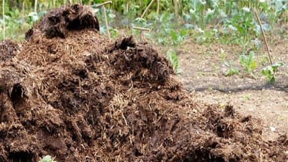 எரு தயாராகிவிட்டது என்பதை கண்டிபிடிக்க இந்த உத்தி உங்களுக்கு உதவும்...