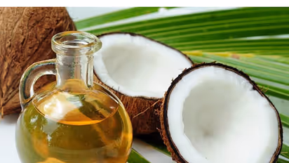 ಕೊಬ್ಬರಿ ಎಣ್ಣೆ ದೇಹಕ್ಕೆ ‘ವಿಷ’ವೇ ?