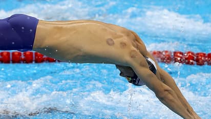 OMG..! ಶಾರ್ಕ್ ಜೊತೆಗೆ ಸ್ಪರ್ಧೆ ಮಾಡಿದ ಫೆಲ್ಫ್ಸ್...!