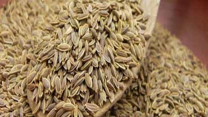 உங்களுக்குத் தெரியுமா? தினமும் இரண்டு ஓமம் சாப்பிட்டால் மனிதனுக்கு தேவையான இரும்புச் சத்து கிடைக்கும்...