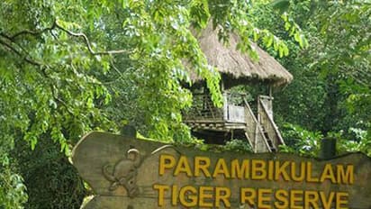 കാടറിയാന് നിയമസഭാ സാമാജികര്; വനംമന്ത്രിയും എംഎല്എമാരും പറമ്പിക്കുളത്തേക്ക്