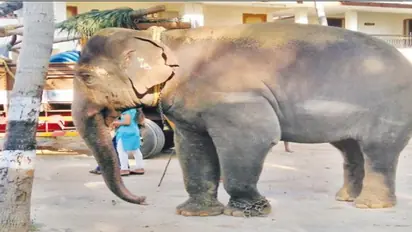 வெக்கேஷன் முடித்து திரும்பிய “பிரக்ருதி”; உற்சாக வரவேற்பு…