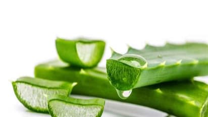 முகத்தை பளிச்சென்று ஆக்கும் அலோவேரா ஃபேஸ் பேக்கை நீங்களே செய்யலாம். செய்முறை உள்ளே...