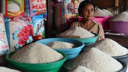 Free sarees, cycles, dhotis has caused Tamil Nadu a Rs 2.56 lakh crore deficit