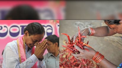 Telangana hit by drought but KCR wants film, songs praising government