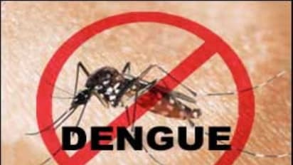 கன்னியாகுமரியில் 204 பேர்  டெங்குவால் பாதிக்கப்பட்டு உள்ளனர் - மாவட்ட கண்காணிப்பு அலுவலர் அறிவிப்பு…