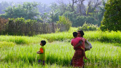 Woman eats out of dustbins, drinks drain water to earn Rs 2000 to free her ‘mortgaged’ son