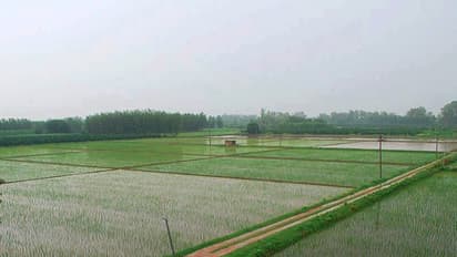 ಅಕ್ರಮ ದಾಖಲೆ ಸೃಷ್ಟಿಸಿ ಸಾವಿರಾರು ರೈತರಿಗೆ ಜಮೀನು ಮಂಜೂರು : ಭಾರೀ ಹಗರಣ ಬಯಲಿಗೆ