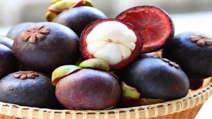 மகளிர் நலனுக்கு மங்குஸ்தான்