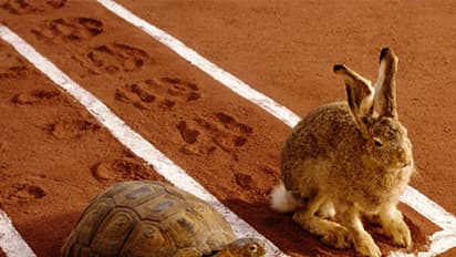 ಮರು ಸೃಷ್ಟಿಯಾಗಿದೆ ಆಮೆ ಮತ್ತು ಮೊಲದ ಕಥೆ