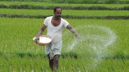 தேவைக்கேற்ப யூரியா உரத்தை பெற்றுக் கொள்ளுமாறு வேளாண்மை இணை இயக்குனர் விவசாயிகளுக்கு வேண்டுகோள்...