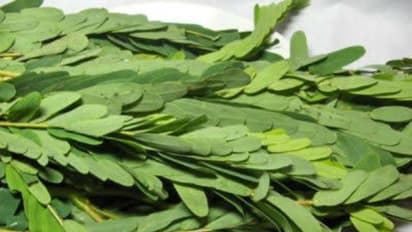 பத்து வகையான கீரையும் அவற்றால் கிடைக்கும் பயன்களும்…