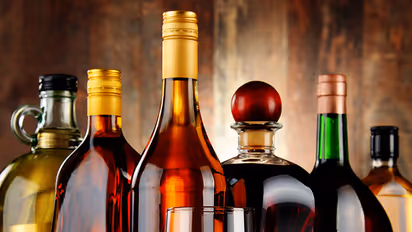 നുണയന്മാരെ മന്ത്രി എന്ന് വിളിക്കാമോ?