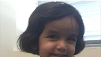 Day 3: Search still on for 3-yr-old in Texas, after Kerala man threw her out of the house at 3 am for not drinking milk