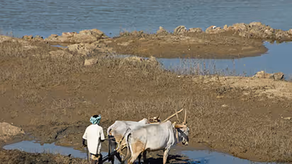 For Cauvery, both Tamil Nadu and Karnataka indulge in politics inappropriate