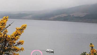 ഭീമാകാരനായ ജലജന്തു വീണ്ടും എത്തിയോ?