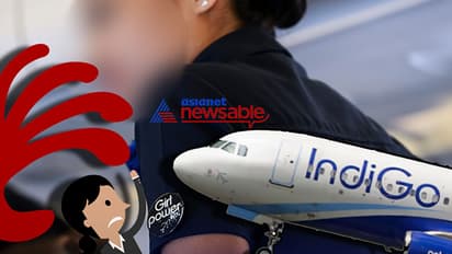 Bengaluru MTech student arrested For harassing Indigo air hostess