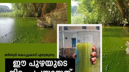 ചാലക്കുടിപ്പുഴ  അവസാനശ്വാസം  വലിക്കുകയാണ്!