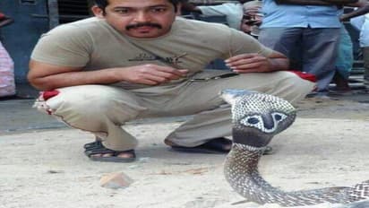 பாம்புகளை காப்பாற்றிய பூனம் சந்த் மரணம் - பாம்பு கடித்து உயிரிழந்தாரா?