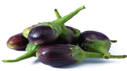 பல் ஈறுகளைப் பாதுகாக்கும் பொறுப்பை கத்திரிக்காய்யிடம் விட்டுவிடுங்கள்…