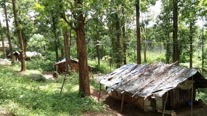 ആദിവാസി ഭൂ സമരം ; പ്രശ്നപരിഹാരത്തിന് സർക്കാർ ഇടപെടുന്നില്ലെന്ന് ആരോപണം