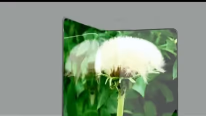 Samsung to launch foldable smartphone in 2017