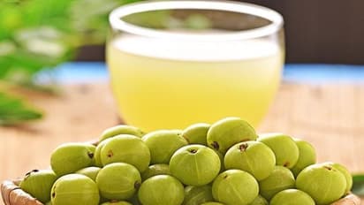 உங்களுக்குத் தெரியுமா? கூந்தல் கரு கருவென செழித்து வளர நெல்லிக்காய் உதவும்…