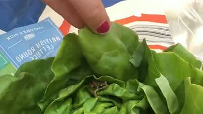 പച്ചക്കറി പായ്ക്കറ്റില് തവള; സൂപ്പര്മാര്ക്കറ്റുകാര് മാപ്പുപറഞ്ഞു