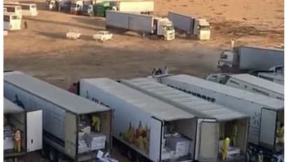 സൗദിയില് വില്പ്പനയ്ക്ക് കൊണ്ടുവന്ന പഴകിയ ലക്ഷക്കണക്കിന് കിലോ കോഴിയിറച്ചി പിടികൂടി